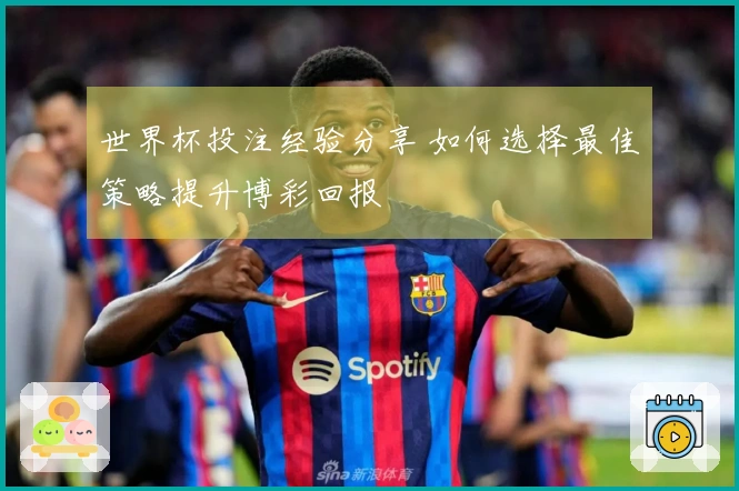 世界杯投注经验分享 如何选择最佳策略提升博彩回报