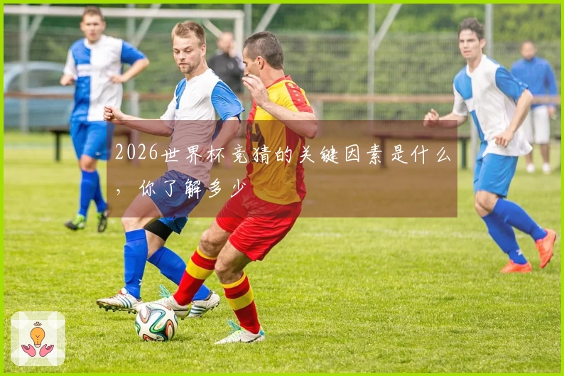 2026世界杯竞猜的关键因素是什么，你了解多少