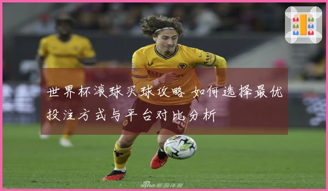 世界杯滚球买球攻略 如何选择最优投注方式与平台对比分析
