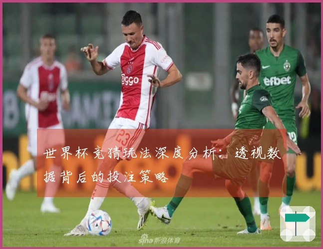 世界杯竞猜玩法深度分析：透视数据背后的投注策略