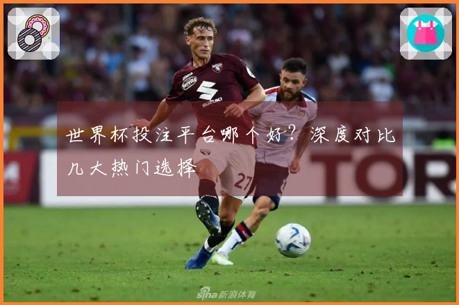世界杯投注平台哪个好？深度对比几大热门选择