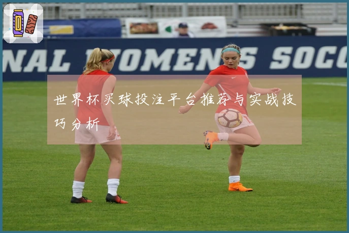 世界杯买球投注平台推荐与实战技巧分析