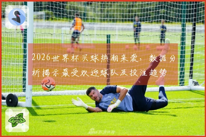 2026世界杯买球热潮来袭，数据分析揭示最受欢迎球队及投注趋势