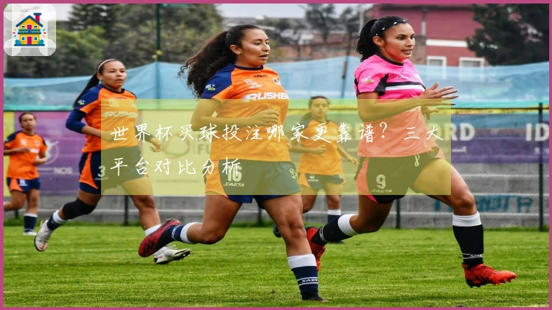 世界杯买球投注哪家更靠谱？三大平台对比分析