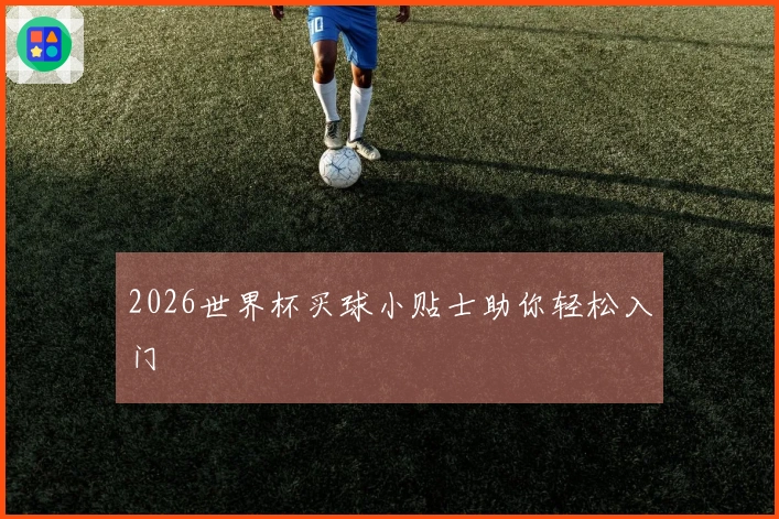 2026世界杯买球小贴士助你轻松入门