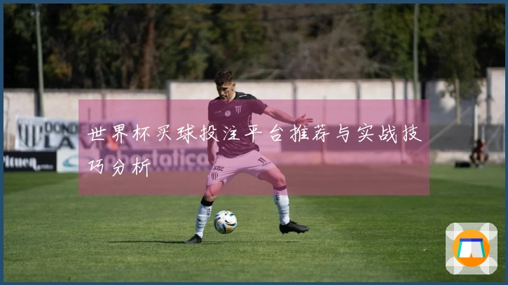 世界杯买球投注平台推荐与实战技巧分析