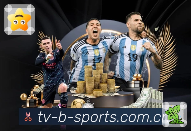 <strong>b体育</strong>稳定性与高峰保障体系